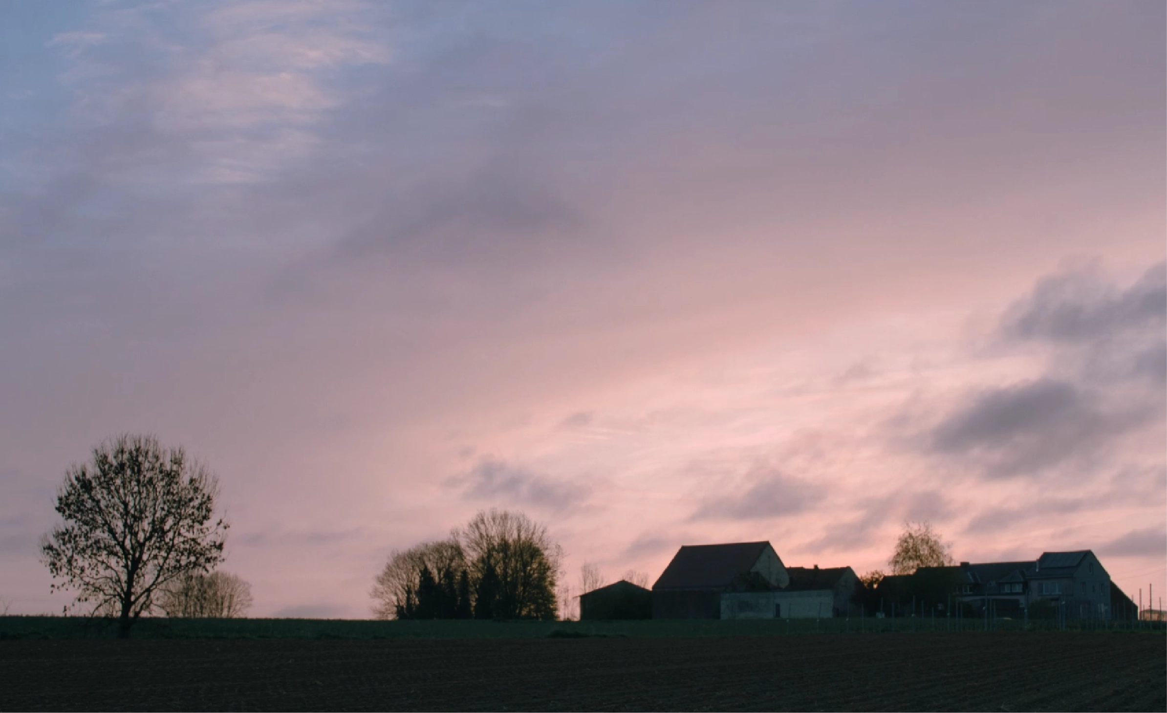 Court-métrage Les Racines du Silence - image du projet